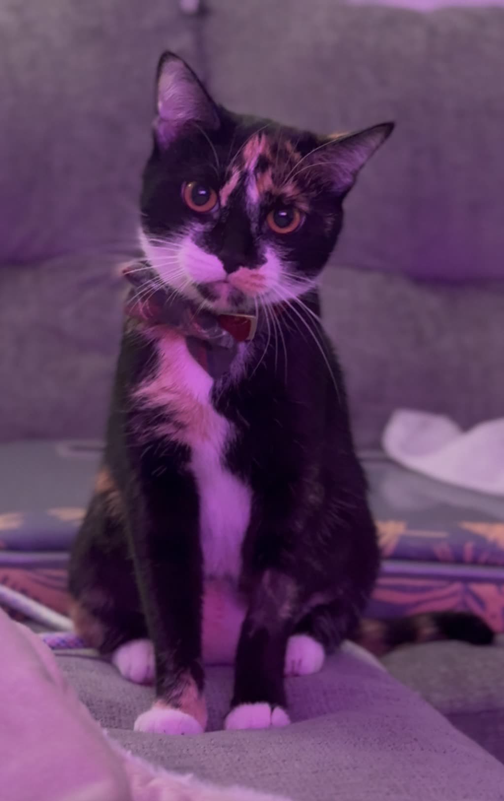 Yes, I'm judging you. Keep scrolling.